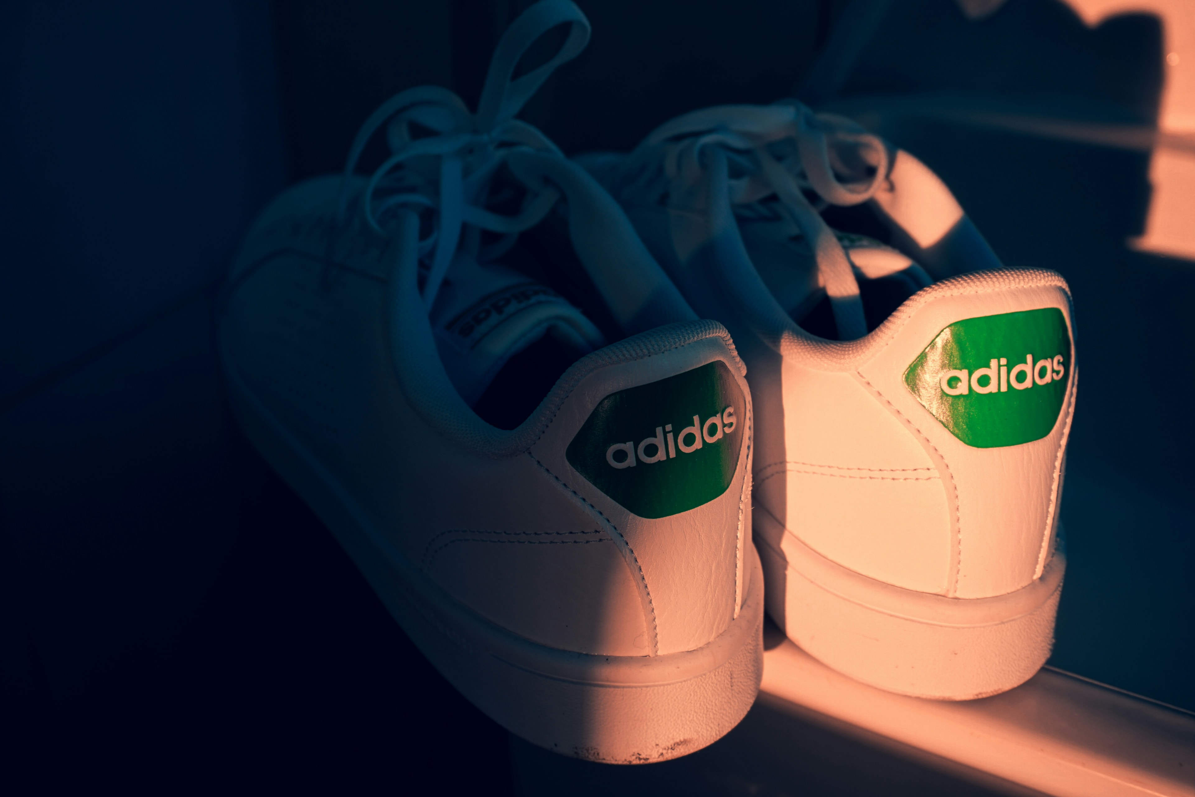 Adidas Forum Bold
