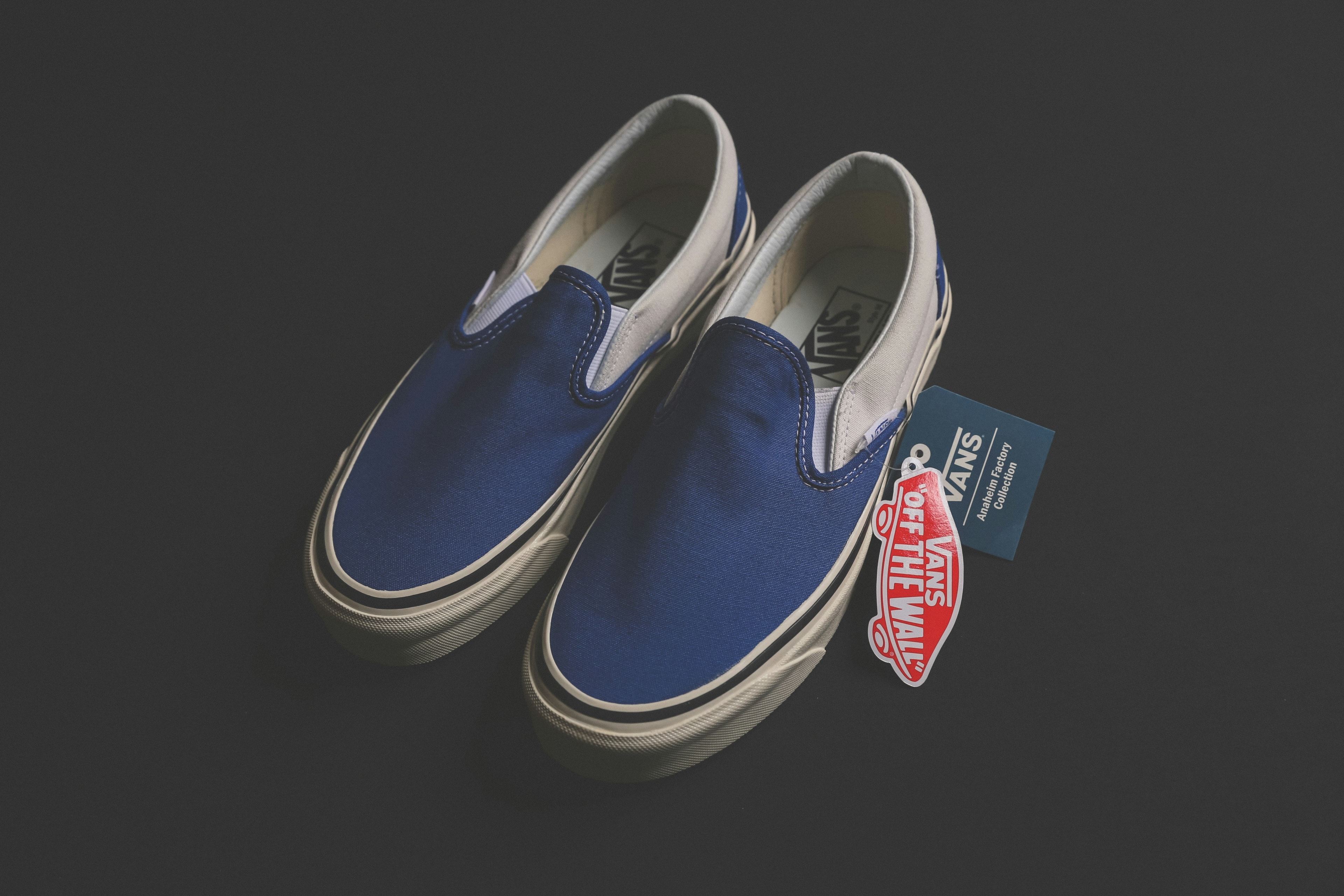 Vans Slip-On Pro