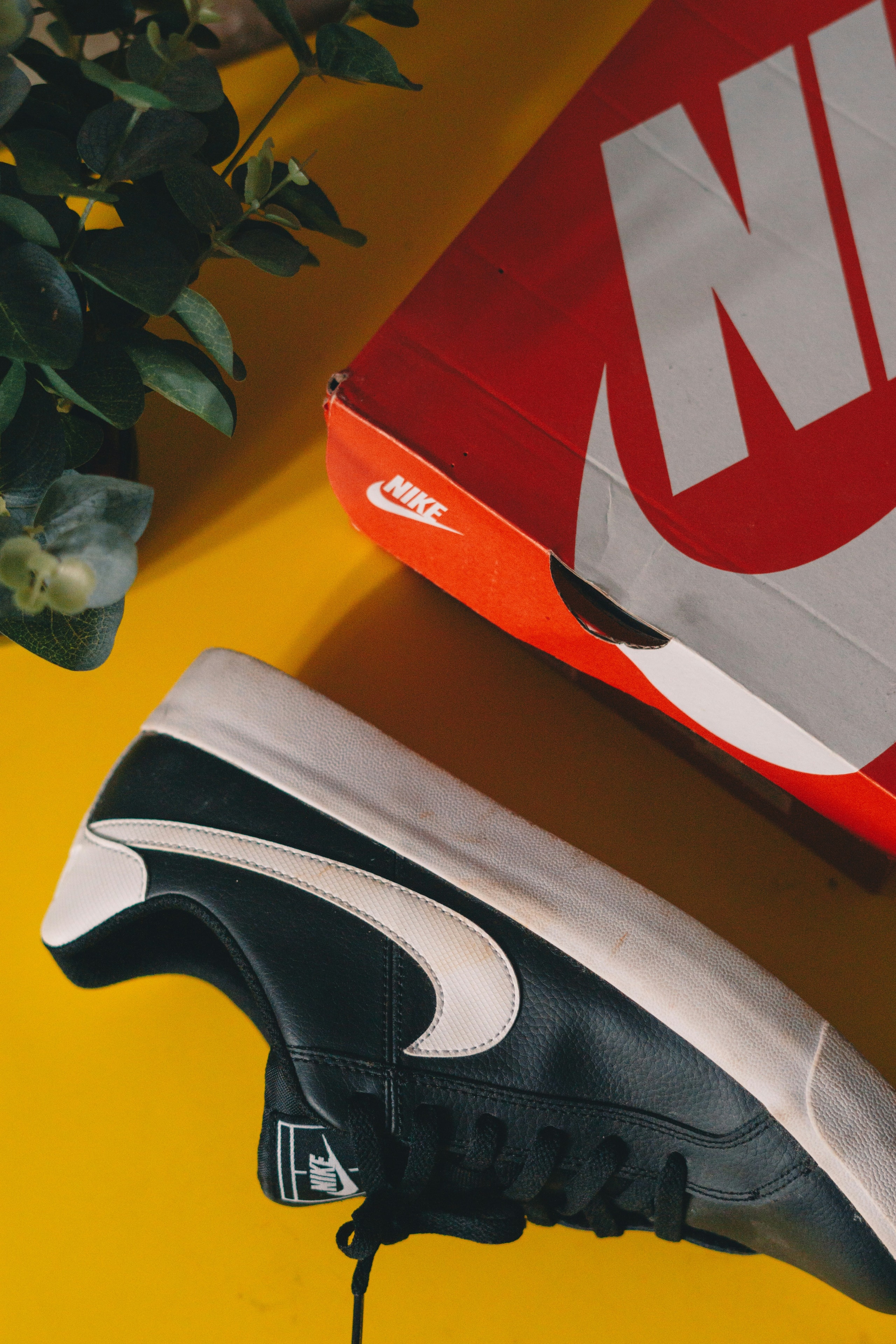 Nike Court Vision Low